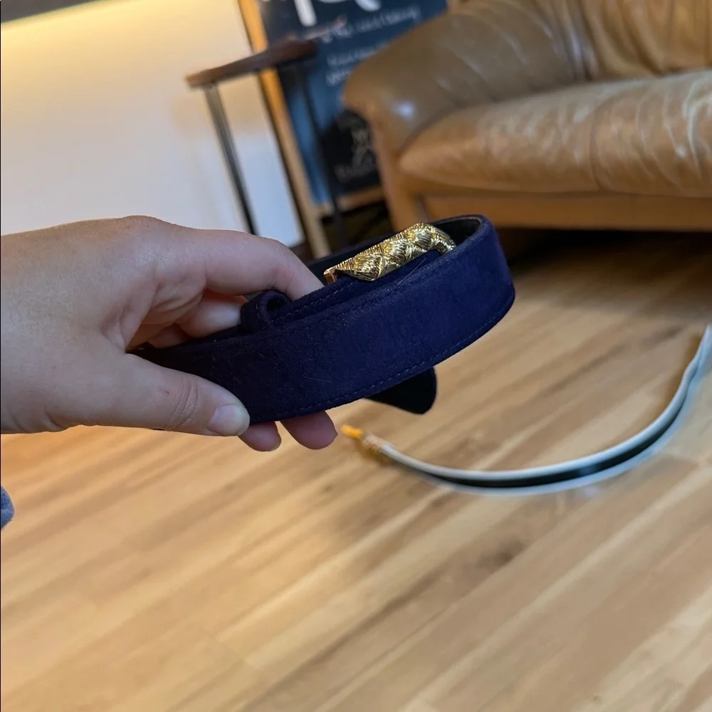 Carlisle Gold and purple velvet women’s belt